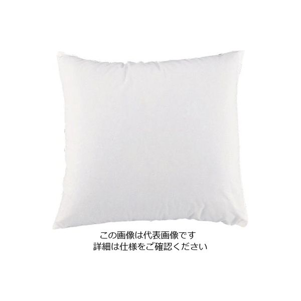 遠藤商事 イージー座布団G(合繊わた) 550×510×H90 62-6307-55 1個（直送品）