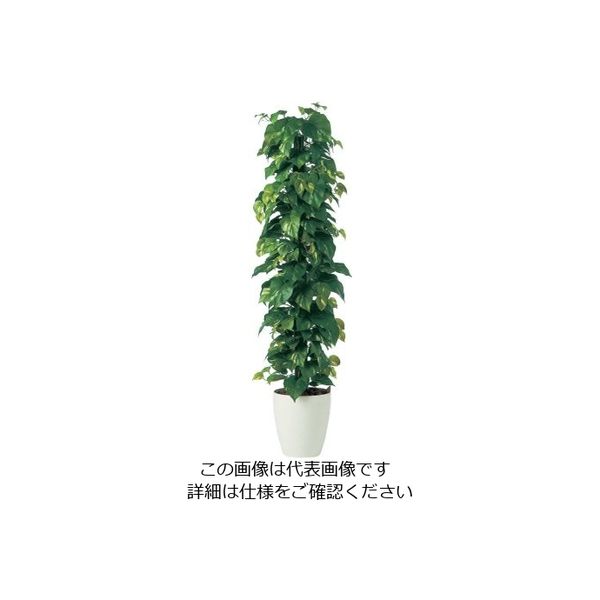 アズワン SG ポトスへゴ DX 1.5m 62-6323-38 1個（直送品）