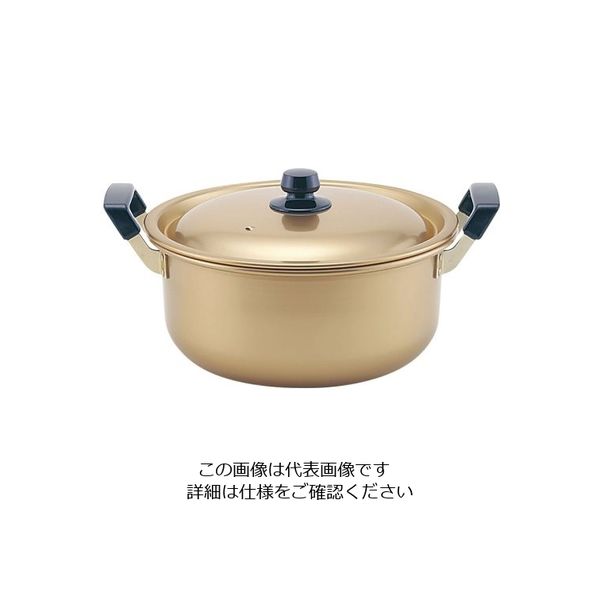 遠藤商事 TKG 本しゅう酸 美菜食 両手鍋 20cm 62-6342-62 1個（直送品）