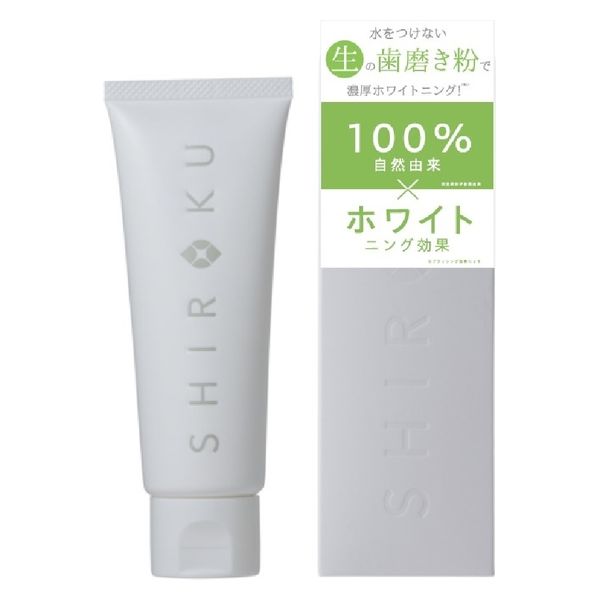0 シロクデンタルペースト＜ハミガキ＞100g 4560302219983 1個(100G)（直送品）