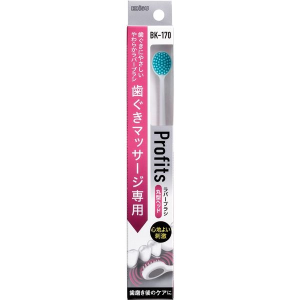 エビス BKー170 プロフィッツ・170 4901221809303 1個(1本)（直送品）