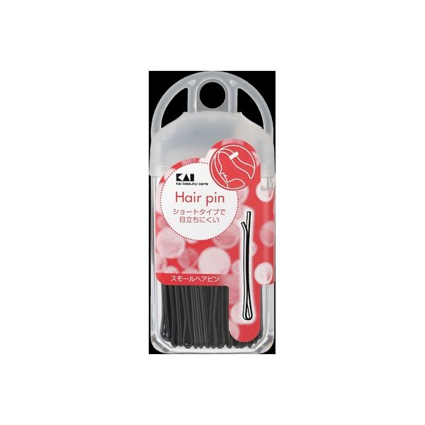 貝印 SS スモールヘアピン 4901601277647 1個(35G)（直送品）