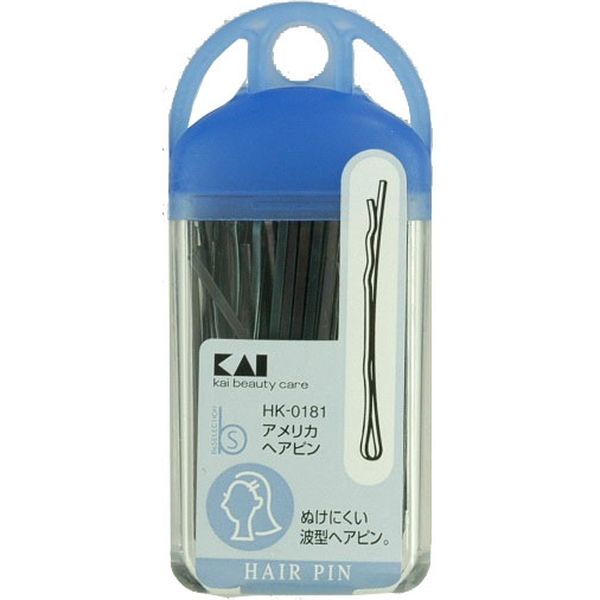 貝印 アメリカヘアピン HK0181 4901601973709 1個(40G)（直送品）