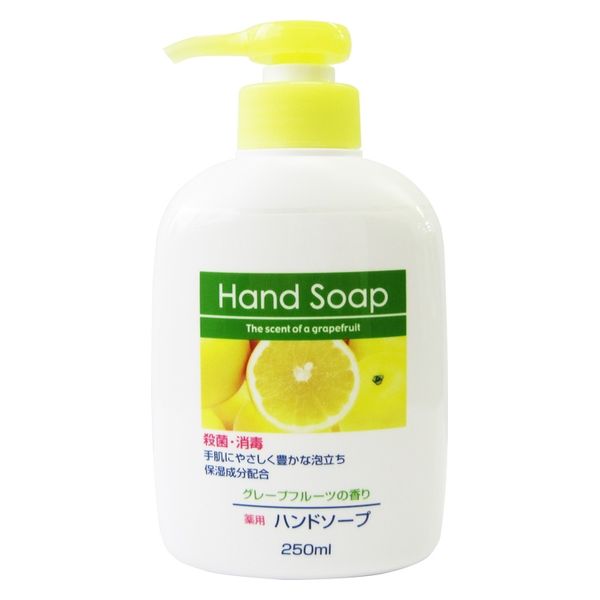 第一石鹸 第一石鹸薬用ハンドソープ本体２５０ＭＬ 4902050556239 1個(250ML)（直送品）