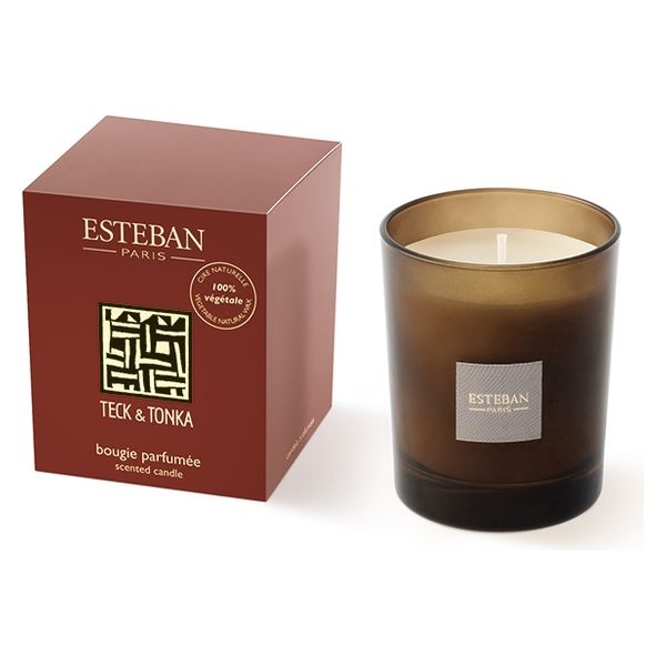 日本香堂 テッケトンカ キャンドル 4902125540125 1個（直送品）