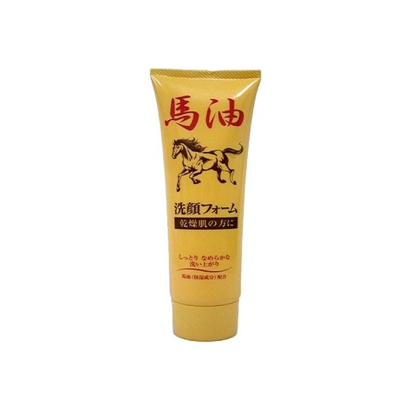 ジュン・コスメティック 馬油洗顔フォームN 4964653102206 1個(120G)（直送品）