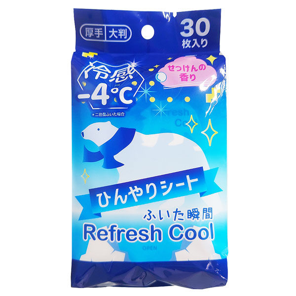 かおり(商品ID重要、同梱不可) カラー無地 IDカード (銀) 0.76mm | エディキオ シリーズ