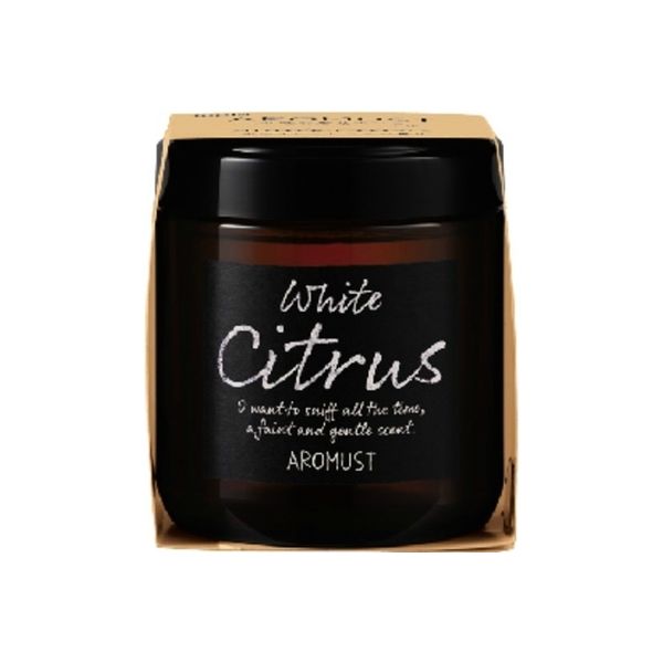晴香堂 アロマスト ホワイトシトラス 4976363125673 1個(160ML)（直送品）