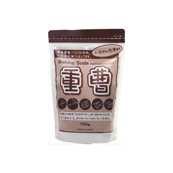 地の塩社 ちのしお重曹 750g 4982757811251 1個(750G)（直送品）