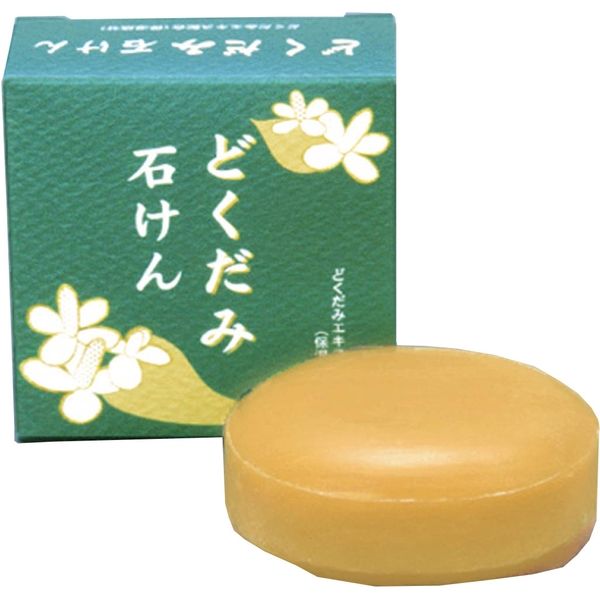 地の塩社 和の美肌 どくだみ石けん 4982757911531 1個(100G)（直送品）