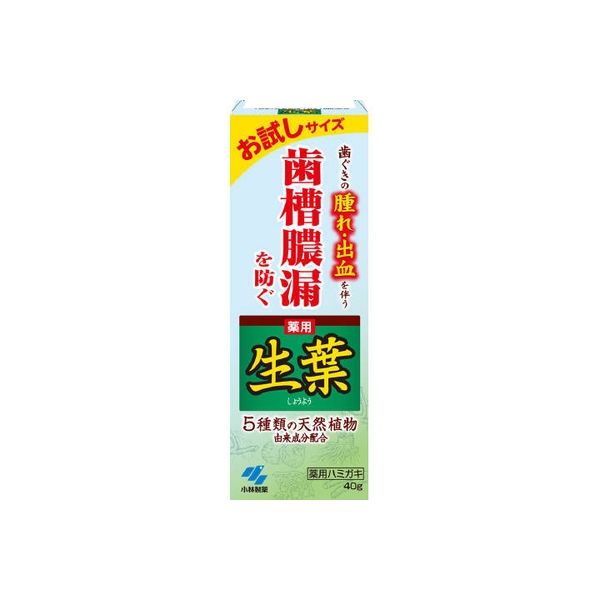 小林製薬 生葉c お試しサイズ 4987072030073 1個(40G)（直送品）