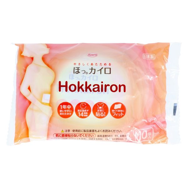 興和 ホッカイロ Hokkairon 貼る レギュラー 10個 4987973284674 1パック(10個入)（直送品）