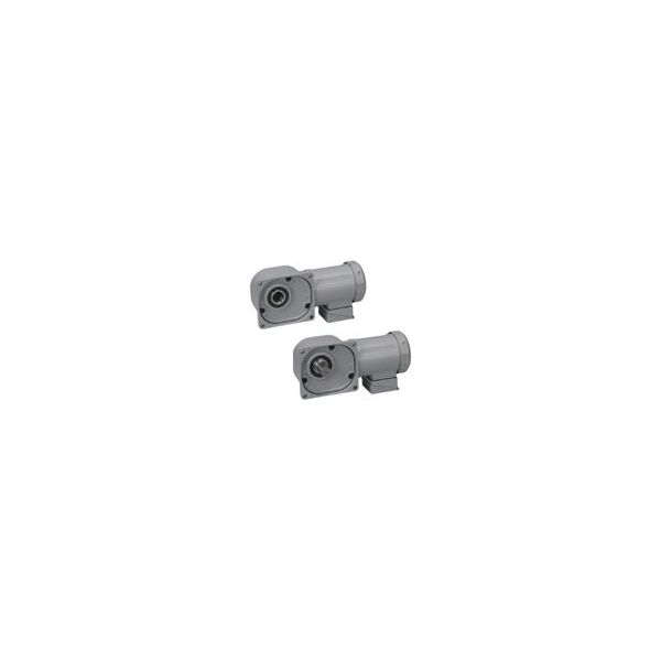 ニッセイ インダクションギアモータ MIDシリーズ F/F3タイプ(中空軸・中実軸) FS55N5-MR22TNNTN 1個(直送品)