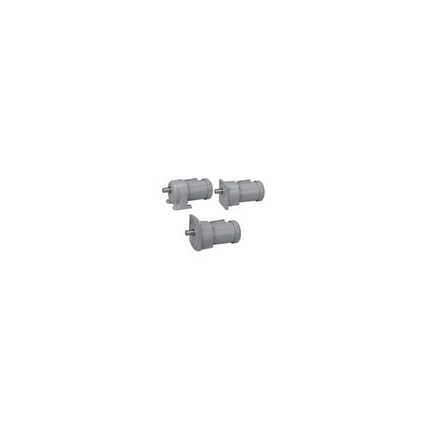 ニッセイ インダクションギアモータ MIDシリーズ G3タイプ(平行軸) G3F18N15-MM01TDNTJ2 1個（直送品）