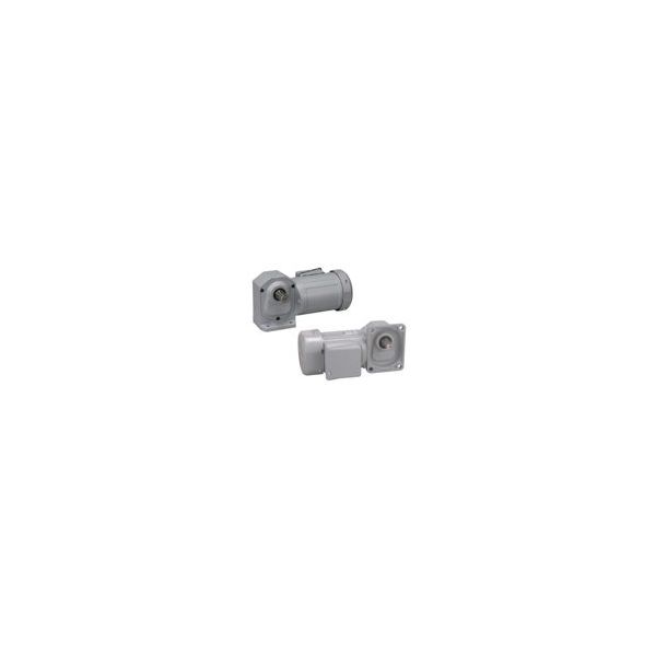 ニッセイ インダクションギアモータ MIDシリーズ H2タイプ(直行軸) H2L22M25-WM02TDNEV2 1個（直送品）