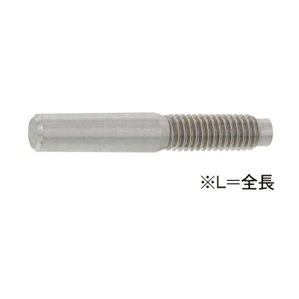 SUNCO SUS 外ネジ付きテーパーピン 10 X 100 (30本入) D0-02-0202-0100-1000-00 1箱(30本)（直送品）