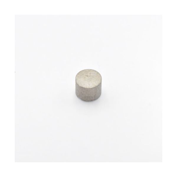 マグナ MAGNA サマリウムコバルト磁石 (10個入) 2-1043 1袋(10個) 178-3518（直送品）