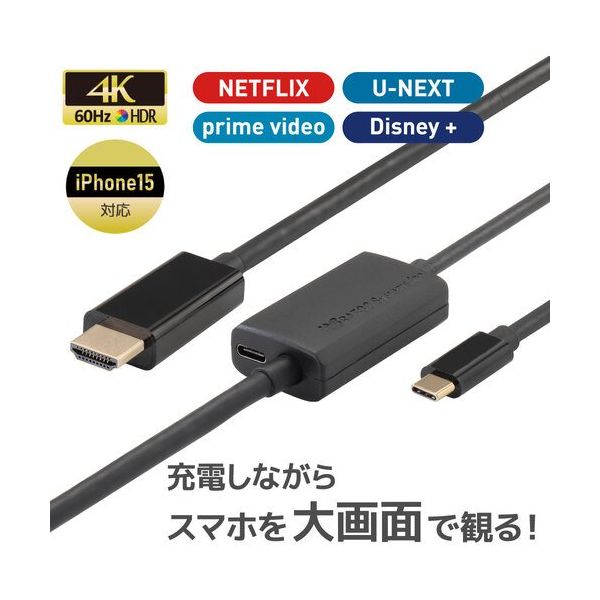 ラトックシステム RATOC USB TypeーC to HDMI 変換ケーブル(PD対応・2m) RS-UCHD4K60-2M 1個（直送品）