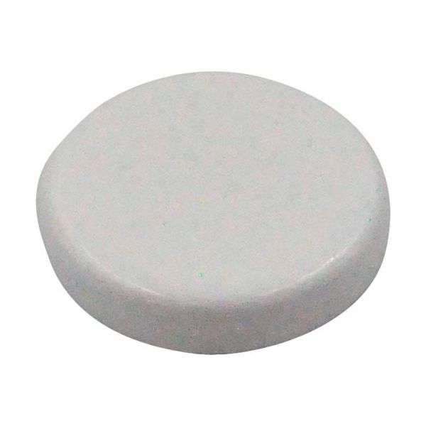 マグナ MAGNA 教材用マグネット マグネットメモホルダー30φ白 6-10305 1個 450-0182（直送品）