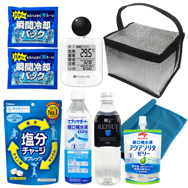 熱中症対策キット 黒球式熱中症指数計付き 9点 シルバー 1セット