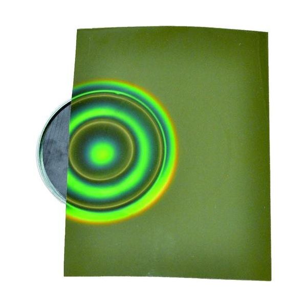 マグナ MAGNA マグナビュワーシート クラリス 10-8 1枚 594-5994（直送品）