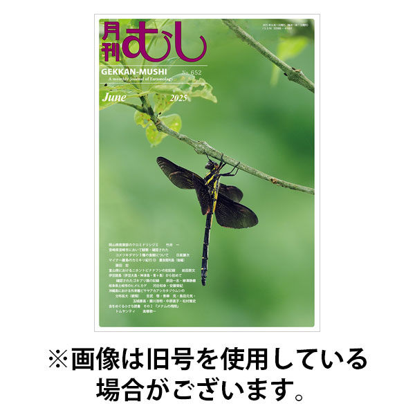 月刊むし2025/09/22発売号から1年(12冊)(雑誌)（直送品）