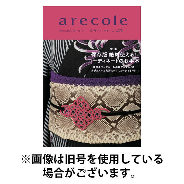 月刊アレコレ 2025/09/10発売号から1年(12冊)(雑誌)（直送品）