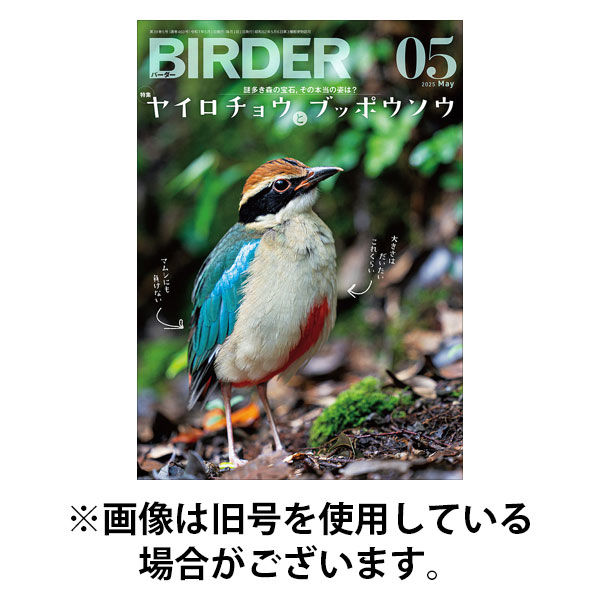 BIRDER（バーダー） 2025/09/16発売号から1年(12冊)(雑誌)（直送品）