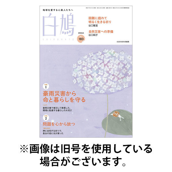 白鳩 2025/09/20発売号から1年(12冊)(雑誌)（直送品）