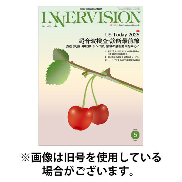 INNERVISION（インナービジョン） 2025/09/01発売号から1年(12冊)(雑誌)（直送品）