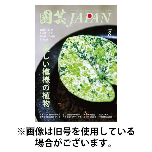 園芸Japan 2025/09/12発売号から1年(12冊)(雑誌)（直送品）