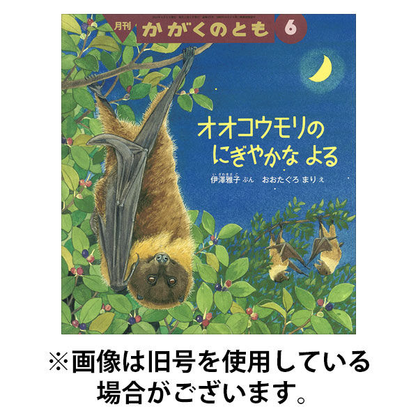 かがくのとも 2025/09/03発売号から1年(12冊)(雑誌)（直送品）