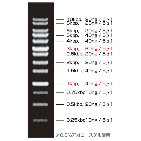 ケニス DNAラダーマーカー 1kbp 500μL(100回分) 11550792 1式(100回分
