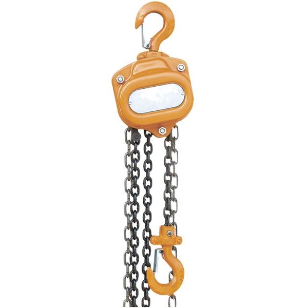 レックス チェーンブロック0.5t TBR05M 1個（直送品）
