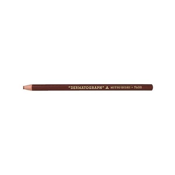 エスコ 油性色鉛筆(12本/茶色) EA765MD-24 1セット(48本:12本×4箱)（直送品）