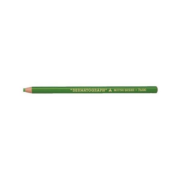 エスコ 油性色鉛筆(12本/黄緑) EA765MD-28 1セット(48本:12本×4箱)（直送品）