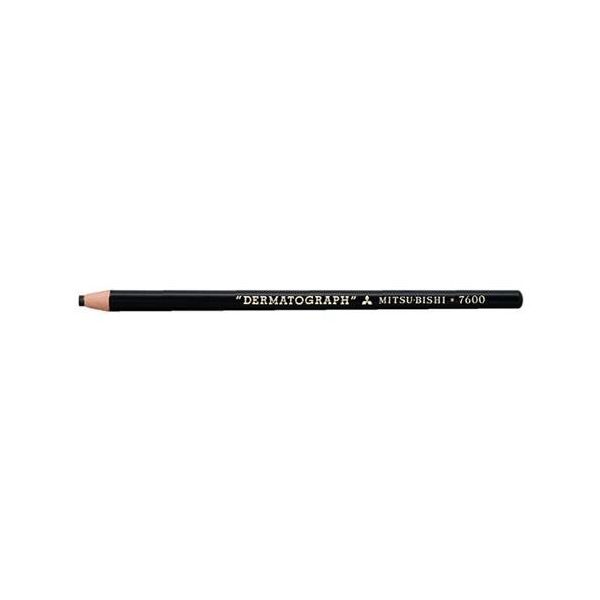 エスコ 油性色鉛筆(12本/黒) EA765MD-32 1セット(48本:12本×4箱)（直送品）