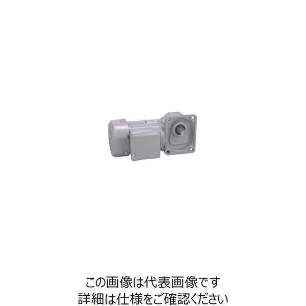 ニッセイ ギアモータ H2F22R100ーMM01TWJNN 601613187 1台（直送品） 36,371円