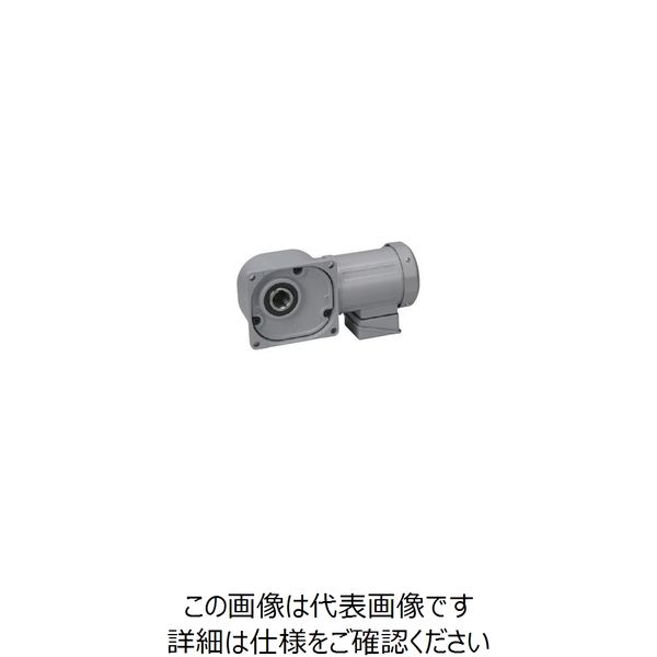 ニッセイ ギアモータ FS30N40ーMM02TWJNB4 601640400 1台（直送品） 54,856円