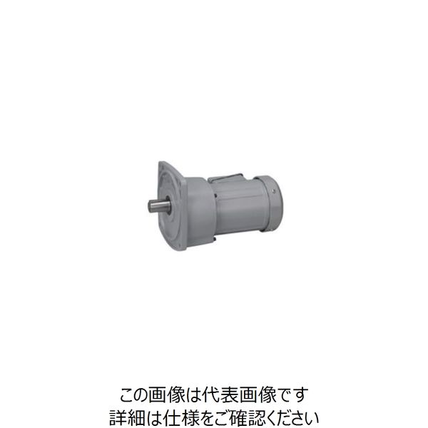 ニッセイ ギアモータ G3F28N10-MD08TWNTB4 601601654 1台（直送品） - アスクル