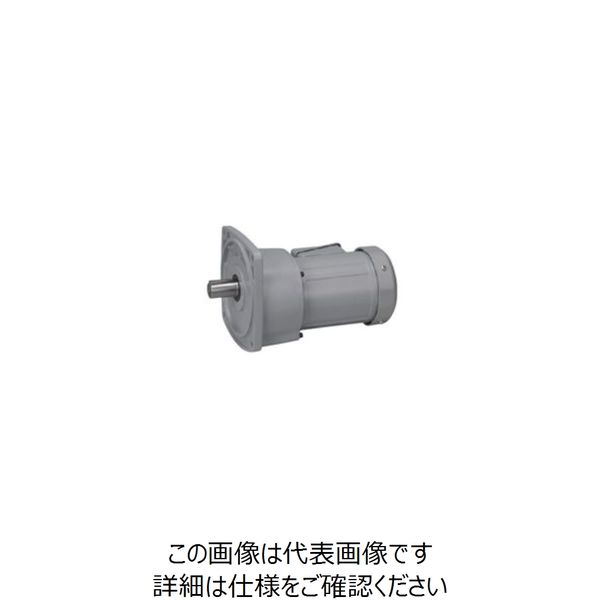 ニッセイ ギアモータ G3F28N50ーMM04TWJNN 601601233 1台（直送品） 43,234円