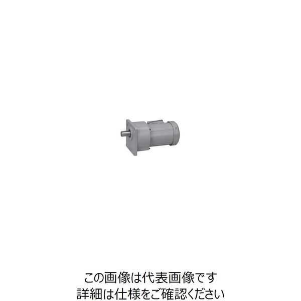 ニッセイ ギアモータ G3K28N100ーMM02TWNTB4 601602392 1台（直送品） 54,604円
