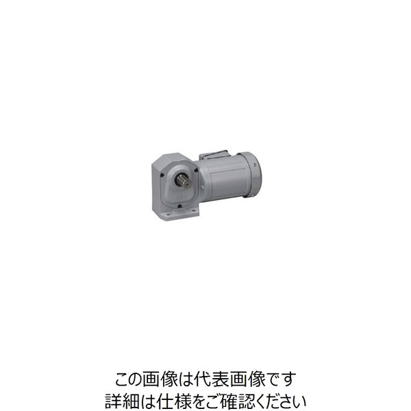 ニッセイ ギアモータ H2L22L10-MM01TNNTB2 601610126 1台（直送品）