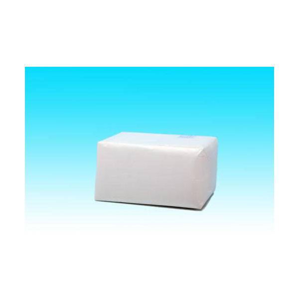 イワタ 脱脂綿　500g　無地 DSS01 1袋(10枚)（直送品）