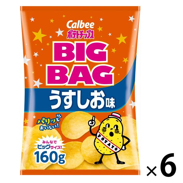 カルビー　ポテトチップスビッグバッグうすしお味　160g　1セット（6袋）