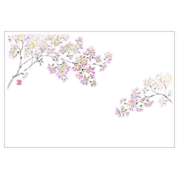 ササガワ 紙製テーブルマット・ランチョンマット　尺3　桜 41-10355 1冊(100枚入)（取寄品）