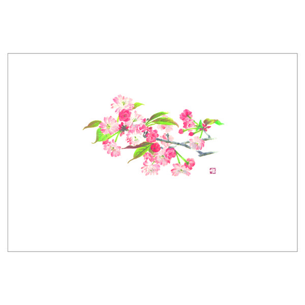 ササガワ 紙製テーブルマット・ランチョンマット　尺3　八重桜 41-10400 1冊(100枚入)（取寄品）