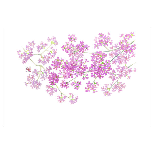 ササガワ 紙製テーブルマット・ランチョンマット　尺3　桜(満開） 41-10425 1冊(100枚入)（取寄品）