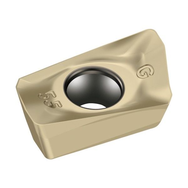 ワルタージャパン Walter ミーリング加工用 ひし形ポジチップ WSM35G BCGT090304R-G55 1セット(10個)（直送品）