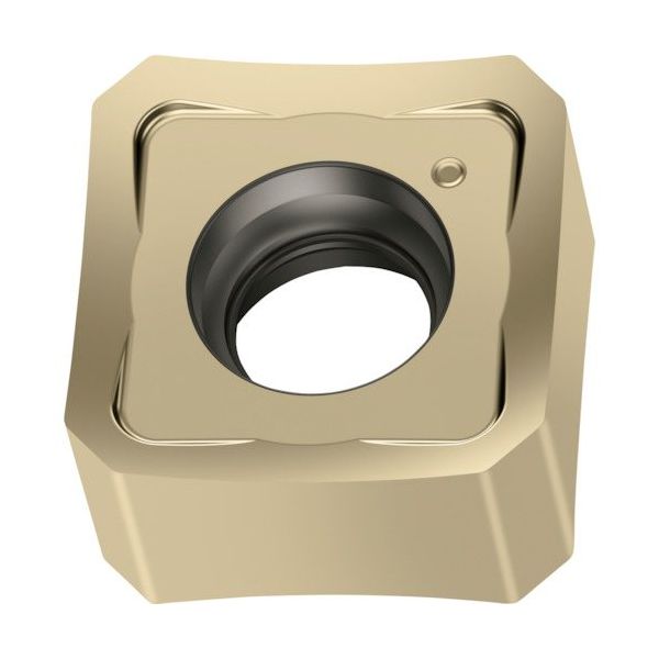 ワルタージャパン Walter ミーリング加工用 正方形ネガチップ WSM35G SNMX0904ANN-F67 1セット(10個)（直送品）